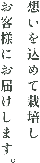 想いを込めて栽培しお客様にお届けします。